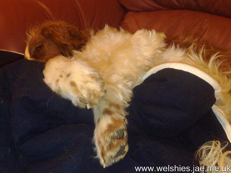 2010-11-20 06.jpg - If I just hide my nose here...